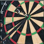 Pomoć u pikado igri