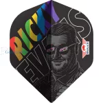Set strelica steel Bull's Ricky Evans 23g 95% wolfram