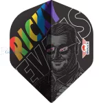 Set strelica steel Bull's Ricky Evans 25g 95% wolfram