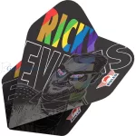 Set strelica steel Bull's Ricky Evans 25g 95% wolfram