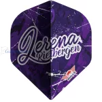 Set strelica steel Bull's Lerena Rietbergen 24g 90% wolfram
