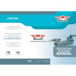 Sprava za zamenu steel vrhova Bull's Repointing Machine + 2 adaptera