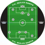 Pikado tabla Bull's Football
