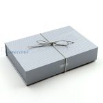 Set strelica steel Cuesoul Dazzling 22g, 90% wolfram