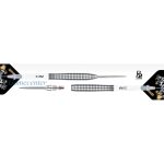 Set strelica ONE80 steel R2 Interchange Re-ptile 24g, 90% wolfram