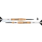 Set strelica steel ONE80 R2 Interchange Re-Silience 25g, 90% wolfram