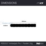 Strelice Red Dragon steel Amberjack Pro 1 - 24 g, 90% wolfram