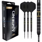 Set strelica steel Red Dragon Ascend Parallel 23g 90% wolfram