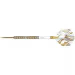 Set strelica steel Red Dragon Paradym Gold Parallel 24g 90% wolfram