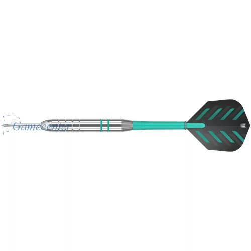 Target set strelica Rob Cross Silver Voltage 24g, brass
