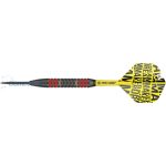 Set strelica TARGET steel Dimitri Van Den Bergh 22g, Brass