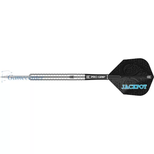 Target set Adrian Lewis G4 2019 24g, 90% wolfram