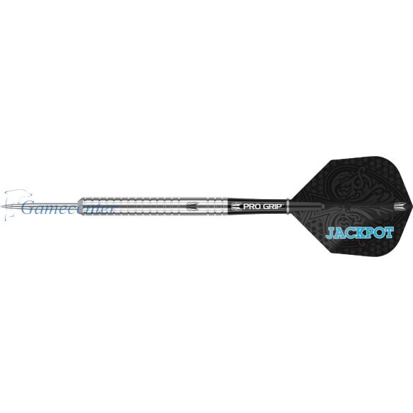 Target set Adrian Lewis G4 2019 24g, 90% wolfram