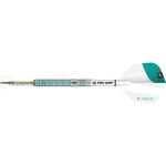 Strelice TARGET steel Rob Cross G2 2020, 21g, 90% wolfram