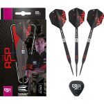 Set strelica TARGET steel Nathan Aspinall SP Black 22g 80% wolfram