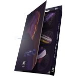 Target set strelica steel Power 9Five G10 24g SP, 95% wolfram