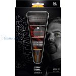 Set strelica TARGET steel Gabriel Clemens Black 21g, 90% wolfram