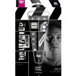 Set strelica steel Target Chris Dobey Hollywood Action SP 24g, 90% wolfram