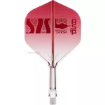 Set strelica steel Target Nathan Aspinall 95K 26g SP 95% wolfram