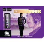 Set strelica steel TARGET JAPAN Kasumi Sato Endeavour G1 22,5g SP, 90% wolfram