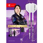 Set strelica steel TARGET JAPAN Kasumi Sato Endeavour G1 22,5g SP, 90% wolfram