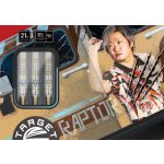 Set strelica steel TARGET JAPAN George Nishitani Raptor G5 21g SP, 90% wolfram