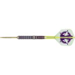 Set strelica steel Target Luke Littler 23g SP, 90% wolfram, Edition World Champion 2025