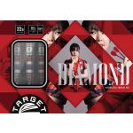 Set strelica steel Target Japan Diamond G3 22g SP 90% wolfram