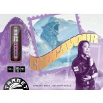 Set strelica steel Target Japan Endeavour G2 24g SP 90% wolfram