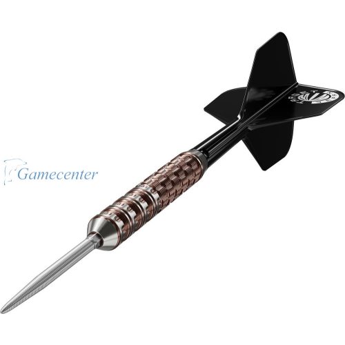 Set strelica steel Target JAPAN Prime Series Raptor G6 24g, 90% wolfram