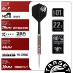 Set strelica steel Target JAPAN Prime Series Raptor G6 24g, 90% wolfram