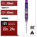 Set strelica steel Target Japan Kasumi Sato Endeavour G3 24g SP 90% wolfram