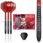 Set strelica steel Target Japan Kosuzu Iwao Diamond G4 22g SP 90% wolfram