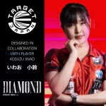 Set strelica steel Target Japan Kosuzu Iwao Diamond G4 22g SP 90% wolfram