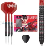 Set strelica steel Target Japan Kosuzu Iwao Diamond G4 24g SP 90% wolfram