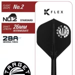 Set strelica steel Target Japan Mikuru Suzuki Miracle G7.5 22g SP 95% wolfram